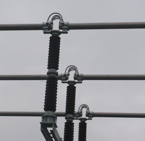 ��һ������ĸ��